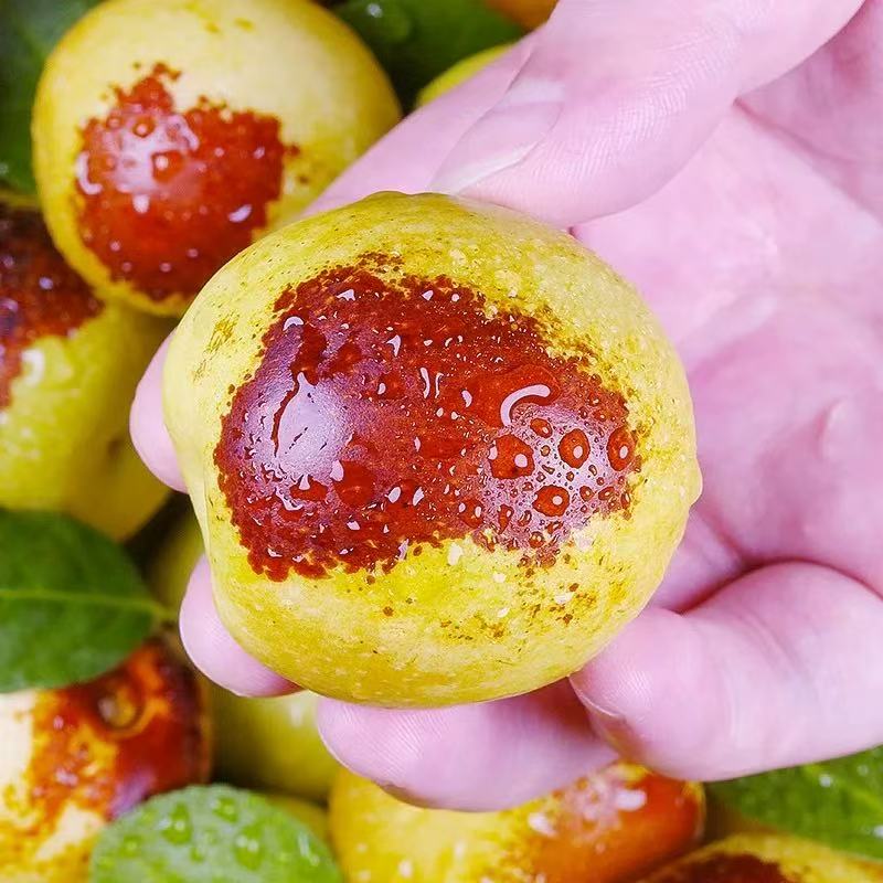 😋🔥Eat winter jujube regularly, nutritious and healthy-OKN