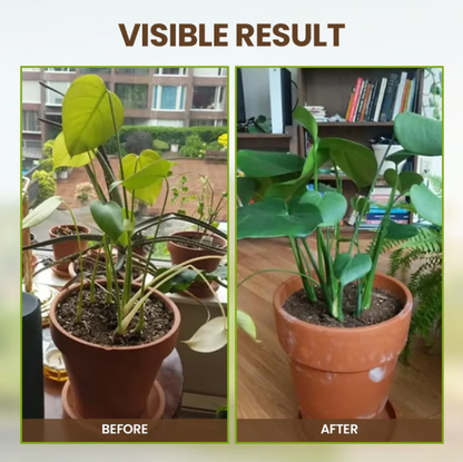 75K+ SOLD! 🌳Soil Pro Activator Revive Your Dead Soil in Weeks - ZBD - cartographermarket