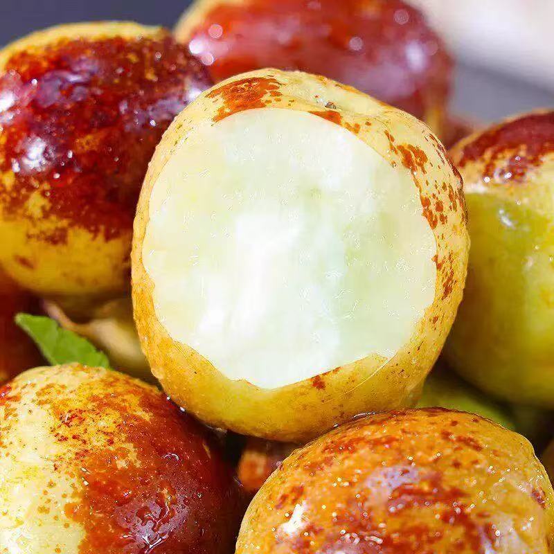 😋🔥Eat winter jujube regularly, nutritious and healthy-OKN