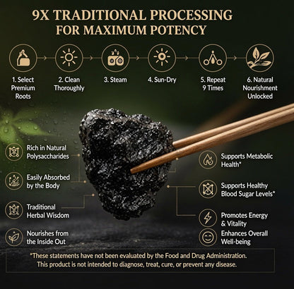 9X Prepared Rehmannia Root | Natural Blood Sugar & Metabolic Support Tonic-EDC - cartographermarket