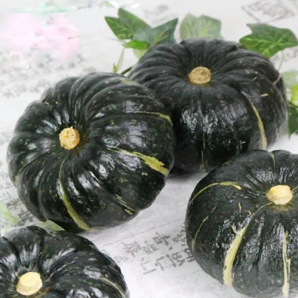Beibei Pumpkin Seeds - Money Back Guarantee if It Doesn’t Grow! - EDC - cartographermarket