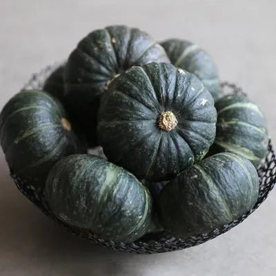 Beibei Pumpkin Seeds - Money Back Guarantee if It Doesn’t Grow! - EDC - cartographermarket