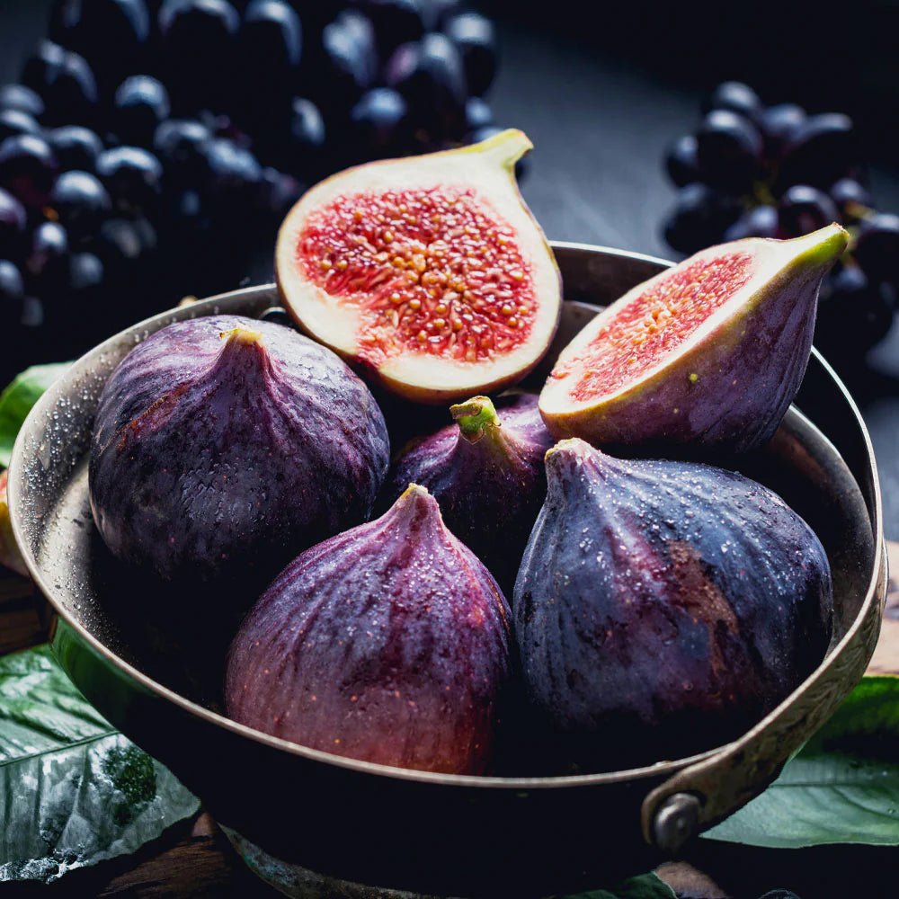 🌱 Harvest Sweet Figs in Your Own Backyard: Fast - Growing & Hardy Variety | Premium Nursery Grade Selection ✨ - EDC - cartographermarket