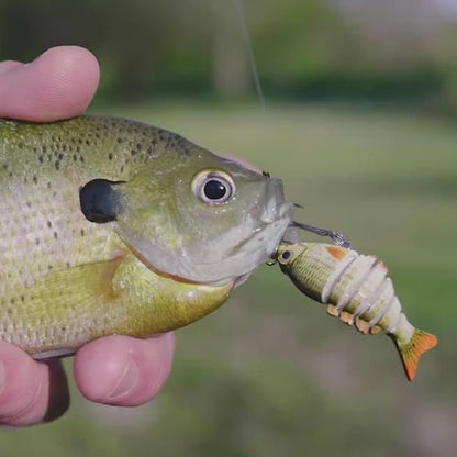 🔥 HOT SALE 49% OFF🔥2'' Lifelike Fishing Lures for Freshwater and Saltwate - EDC - cartographermarket