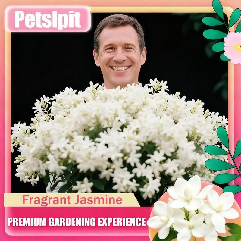 🌸Jasmine Flower Seeds – Guaranteed to Grow or Your Money Back! - EDC - cartographermarket