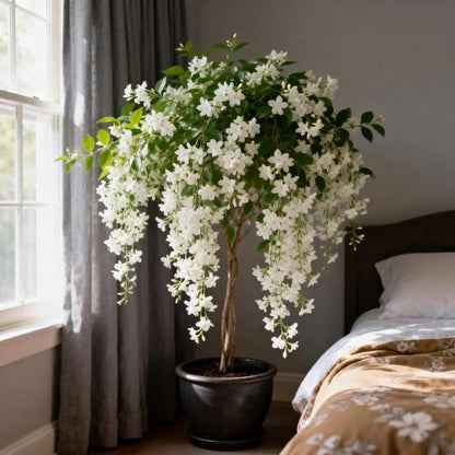 🌸Jasmine Flower Seeds – Guaranteed to Grow or Your Money Back! - EDC - cartographermarket