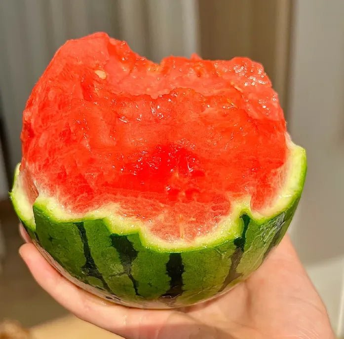 Lazy Man's Watermelon Seeds - Money Back Guarantee if It Doesn’t Grow! - EDC - cartographermarket