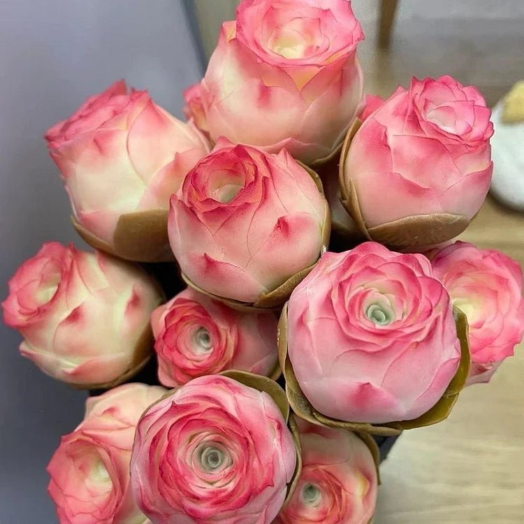 Mountain Roses Seeds (Greenovia) - Rare pink succulent - EDC - cartographermarket