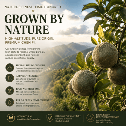Premium Huajuhong Tea – Rich Aroma & Natural Wellness-OKN - cartographermarket