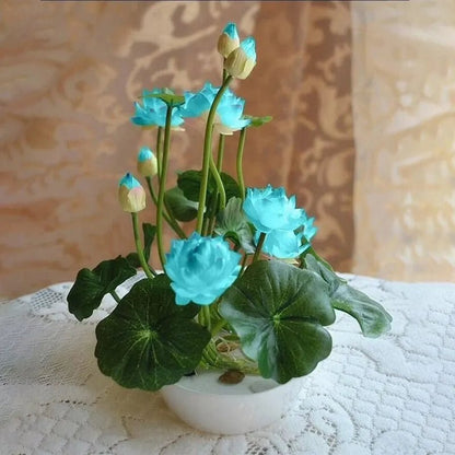 The Sacred Bonsai Lotus Flower - Guaranteed to Grow or Your Money Back! - EDC - cartographermarket