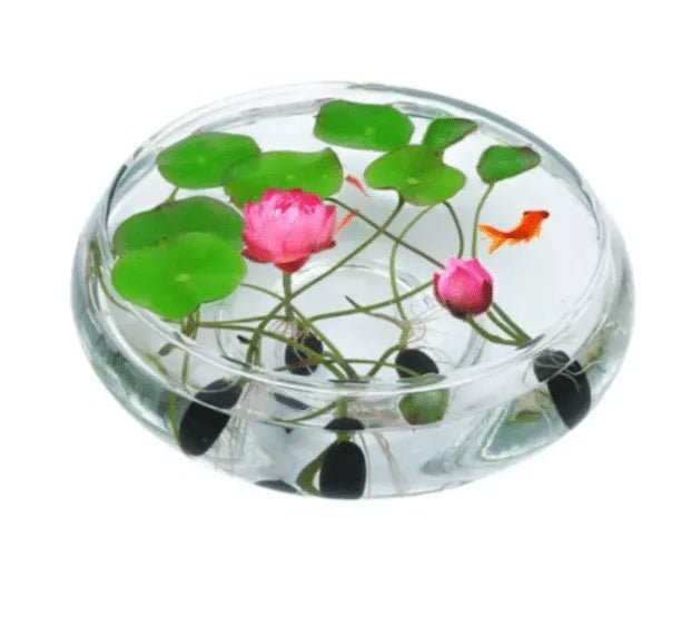 The Sacred Bonsai Lotus Flower - Guaranteed to Grow or Your Money Back! - EDC - cartographermarket